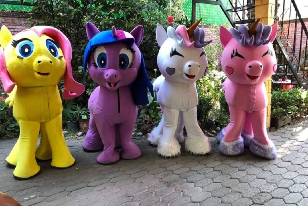 Ponys