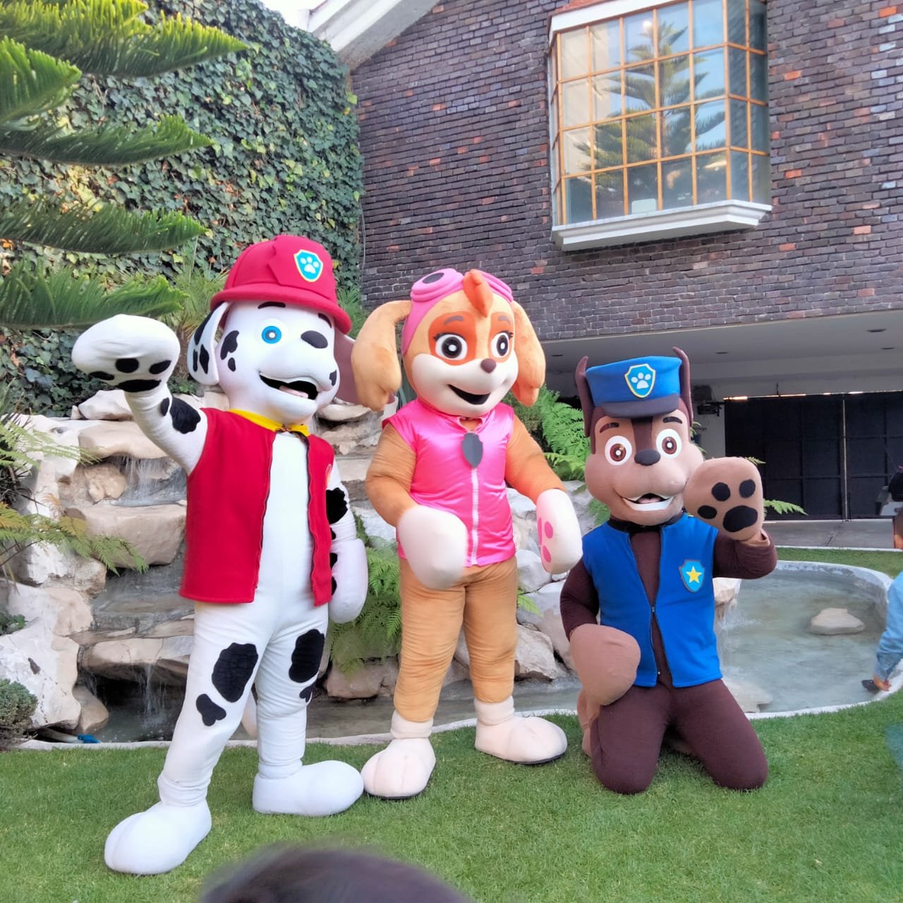 Paw Patrol